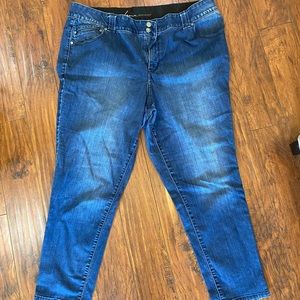 Lane bryant jeans